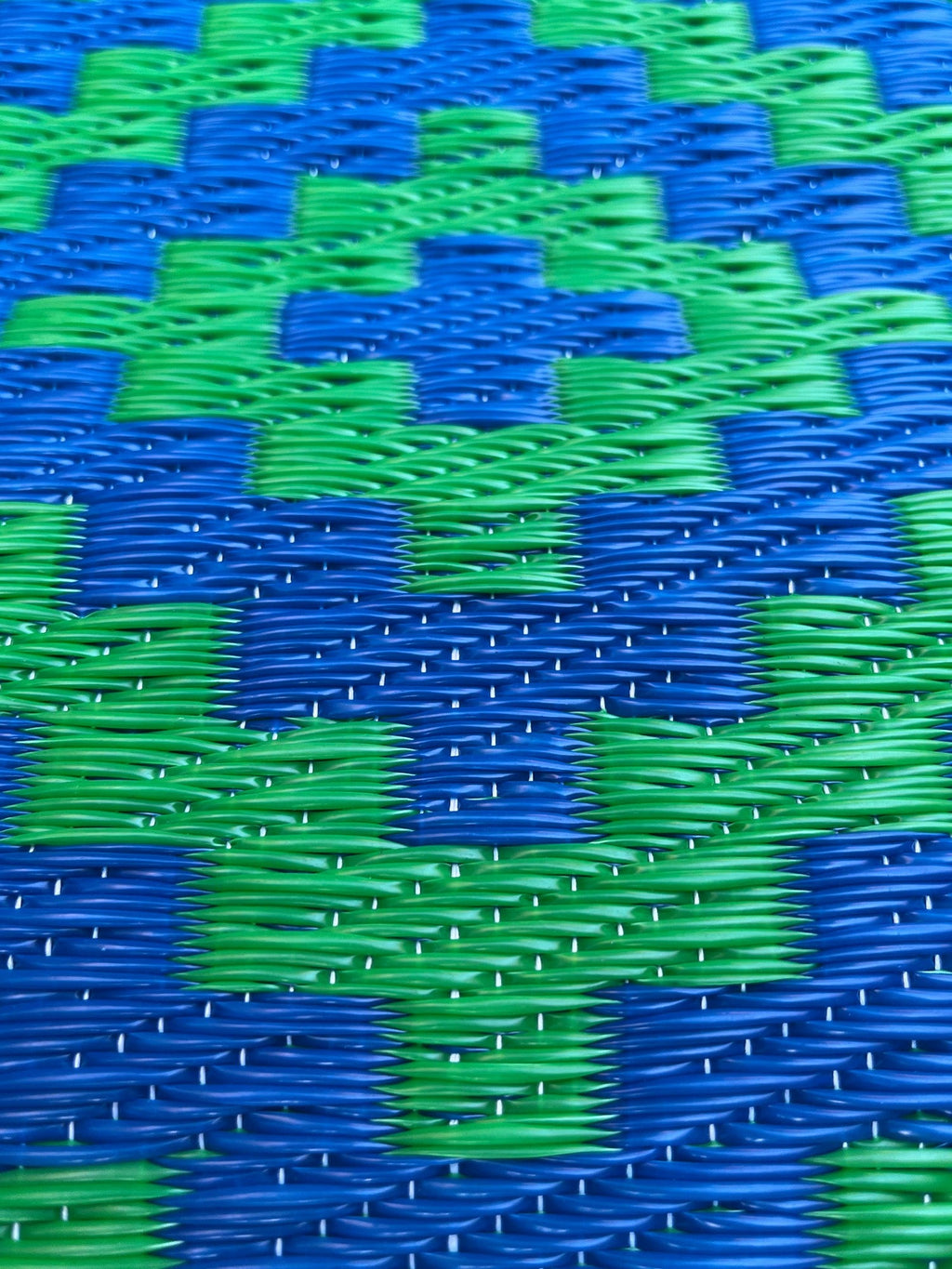 ASPARAGUS BLUE MAGIC CARPET