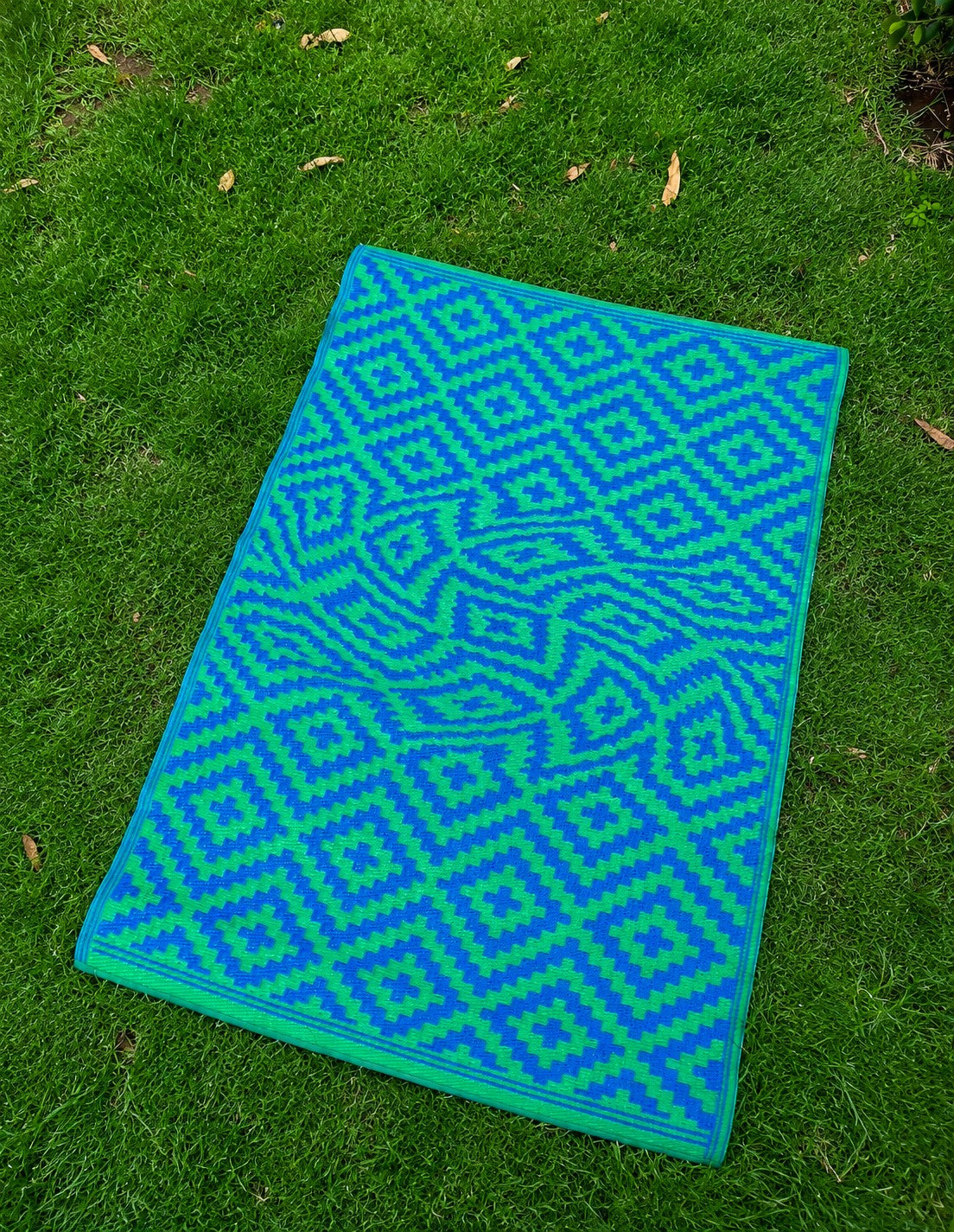 ASPARAGUS BLUE MAGIC CARPET